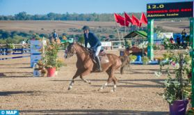 Saut d'obstacles: le cavalier Isaie Abittan remporte le championnat du Maroc des chevaux nés et élevés au Maroc