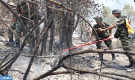 Province de Larache: l'incendie de la forêt "Beni Ysef Al-Srif" circonscrit à 50%