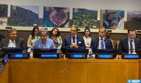 Le Maroc et l'ONU célèbrent à New York l’arganier, arbre endémique du Royaume