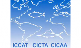 ICCAT : Mme Driouich souligne l'engagement "continu" du Royaume en faveur de la conservation des Thonidés