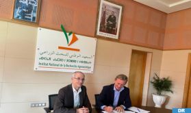 Protection de semences de blé : Bilan d'étape de deux ans du partenariat entre Syngenta Maroc et l’INRA
