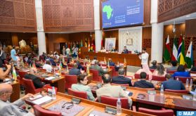 Appel à renforcer l'action législative des parlements africains face aux défis sécuritaires et environnementaux du continent (Conférence)