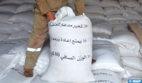 Béni Mellal-Khénifra : Distribution de 719 mille qx d'orge subventionnée au profit des agriculteurs de la région