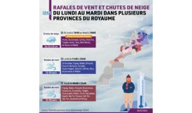 Rafales de vent et chutes de neige du lundi au mardi dans plusieurs provinces du Royaume (bulletin d'alerte)