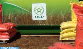 Solutions de nutrition des plantes customisées : le groupe OCP lance sa nouvelle filiale OCP Nutricrops