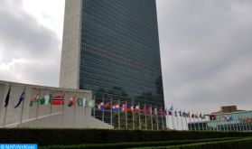 Face aux répercussions de la pandémie, les agences de l'ONU prônent l'innovation et l'économie créative