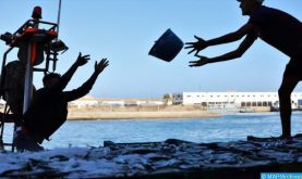 Port de Laâyoune: Les débarquements de la pêche côtière et artisanale en baisse de 27% à fin juin (ONP)