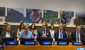 M. Hilale : La culture de l'arganier, reflet de la politique royale au service de la sécurité alimentaire du Maroc et de l’Afrique