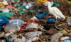 Pollution Plastique: L'économie circulaire, une solution durable pour la planète terre mise à mal
