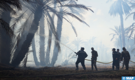Province d’Errachidia : Un incendie ravage l’oasis "Ouled Chaker"