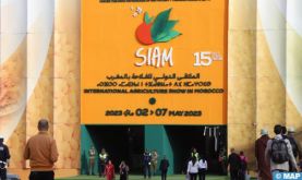 SIAM: une 15ème édition qui bat tous les records (Chami)
