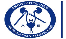 L'Association Marocaine d'Endo-Urologie organise son congrès annuel du 10 au 12 février à Casablanca
