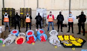 La saisie record de drogue à Tanger s'inscrit dans le cadre de la stratégie de la DGSN en matière de lutte contre le crime transfrontalier (responsable)