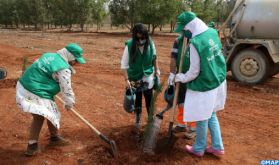 LafargeHolcim Maroc: Campagne de plantation d'arbres et de ramassage de déchets à Bouskoura