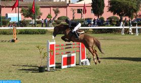 Championnat du Maroc de saut d’obstacles (Senior) : Ali Al Ahrach remporte le Grand Prix de SM le Roi Mohammed VI