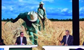 Signature de 21 conventions entre CAM et les acteurs du secteur agricole