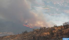 Province de Tétouan : 220 hectares ravagés par l'incendie déclaré à la forêt de Beni Ider, de nouveaux renforts pour circonscrire les feux (sources locales)