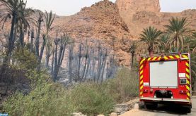 Tiznit: Extinction d'un incendie déclenché à l'Oasis d’Ait mansour