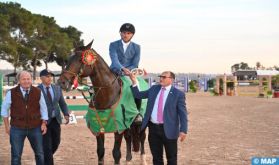 Championnat du Maroc de saut d'obstacles (chevaux de 7 ans): le cheval "Quint Kruishoeve" s'adjuge le titre