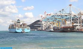 Port Tanger-Med: Mise en échec d'une opération de trafic international de drogue et saisie de 6300 comprimés psychotropes