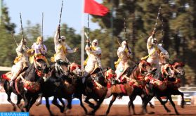Coup d'envoi à Rabat de la 21ème édition du Trophée Hassan II des arts équestres traditionnels "Tbourida"