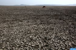 Réchauffement climatique : L'ONU souligne l’urgence de redoubler les efforts