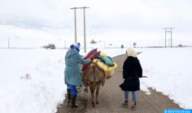 Ouarzazate : la Fondation du Grand Ouarzazate pour le Développement Durable mobilise ses énergies pour venir en aide aux douars encerclés par la neige (communiqué)