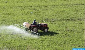 Activité agricole: la production se poursuit et couvre largement les besoins de consommation