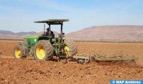 Campagne agricole 2023-2024: Ajustement et renforcement du programme des cultures de printemps dans la région Rabat-Salé-Kénitra (DRA)