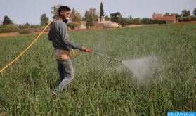 Maroc/Royaume-Uni: Nouvelles données climatiques pour la gestion de l'eau et de l'agriculture