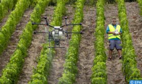 Agritech: Une révolution digitale pour une agriculture moderne