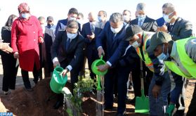 Lancement de la 2ème tranche du projet de développement de la filière du caroubier dans la province d'Al Haouz