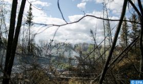 Au Canada, des dizaines de feux de forêt toujours actifs, l'armée se mobilise