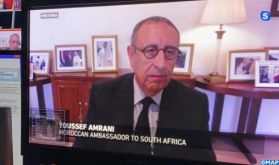 M. Amrani présente dans un panel la perspective marocaine d'une diplomatie post-covid