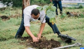 L'Ethiopie lance la 2eme édition de la «Green Legacy Initiative» pour la plantation de 5 milliards d’arbres
