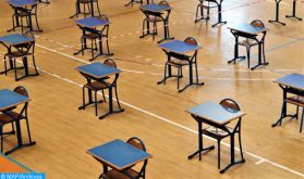 La Cour des comptes recommande l'intégration progressive de l’enseignement à distance dans le système d’éducation (rapport)