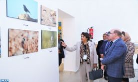 Rabat: Lancement de l'exposition régionale sur la biodiversité
