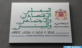 Le CESE et le Parlement arabe discutent des enjeux de la transformation numérique
