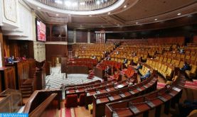 Chambre des représentants : Une commission parlementaire appelle à renforcer le rôle de l'ANRE et à élargir ses missions