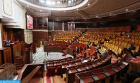 La Chambre des représentants approuve la pétition nationale pour une parité constitutionnelle à l'horizon 2030 (collectif)