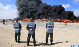 Dakhla: Destruction par incinération de plus de 3,4 tonnes de Chira et de produits de contrebande