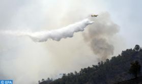 Chypre: le feu de forêt désormais "sous contrôle" (Officiel)