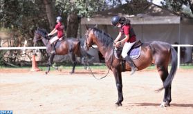 Sports équestres: Les chevaux reprennent du collier après trois mois de confinement