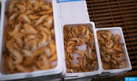 Pénurie de crevettes décortiquées dans les supermarchés belges à cause du confinement au Maroc