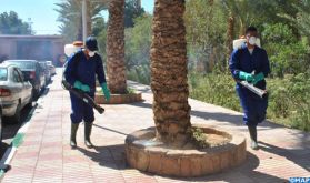 Programme quotidien pour la désinfection et la stérilisation des espaces et services publics de Rabat