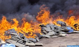 Tan-Tan : destruction par incinération d'une importante quantité de drogues