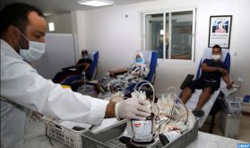 Casablanca: La peur des donneurs aggrave la crise des stocks de sang