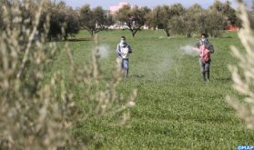 El Hajeb : Une campagne agricole prometteuse à la faveur des dernières pluies
