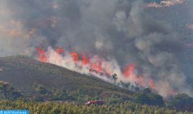 Vague de chaleur exceptionnelle (9-11 juillet): 1.200 ha de forêts incendiés