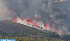 Feu de forêt à M'diq-Fnideq: 3 éléments de la Protection civile décédés et 2 autres grièvement blessés (autorités locales)
